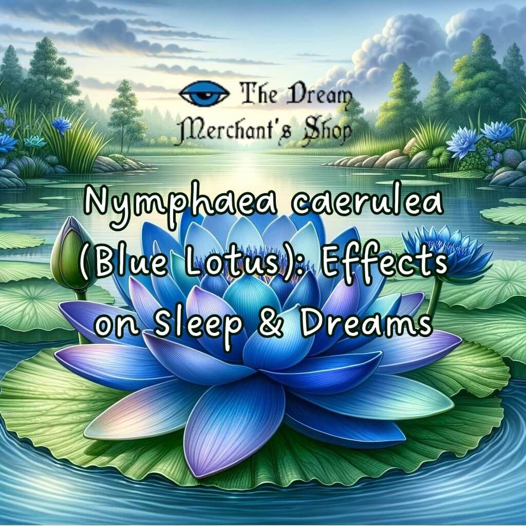 Nymphaea caerulea (Blue Lotus) Effects on Sleep & Dreams