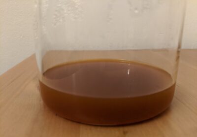 Amanita muscaria water extract (tea)