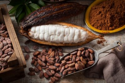 Cocoa (Theobroma cacao)