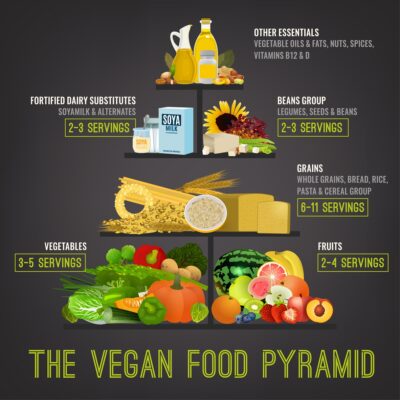 Vegan Diet Pyramid